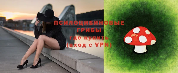 эйфоретик Алексеевка