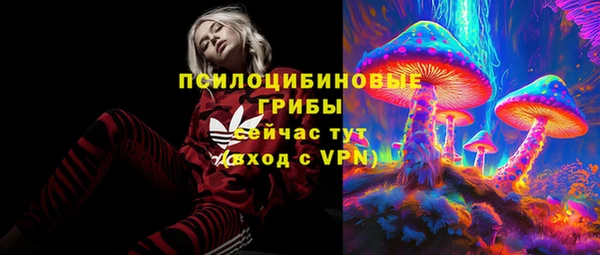 молекула духа Абинск