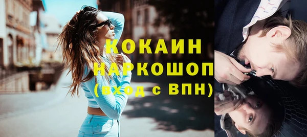 ешки Алексин